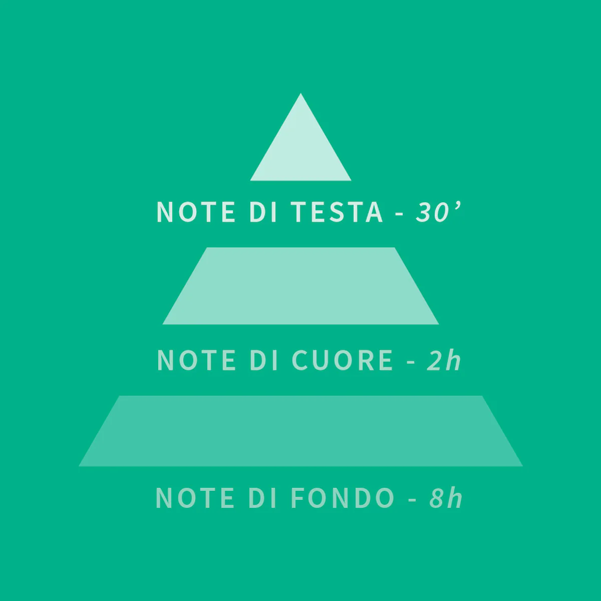 Immagine prodotto 10