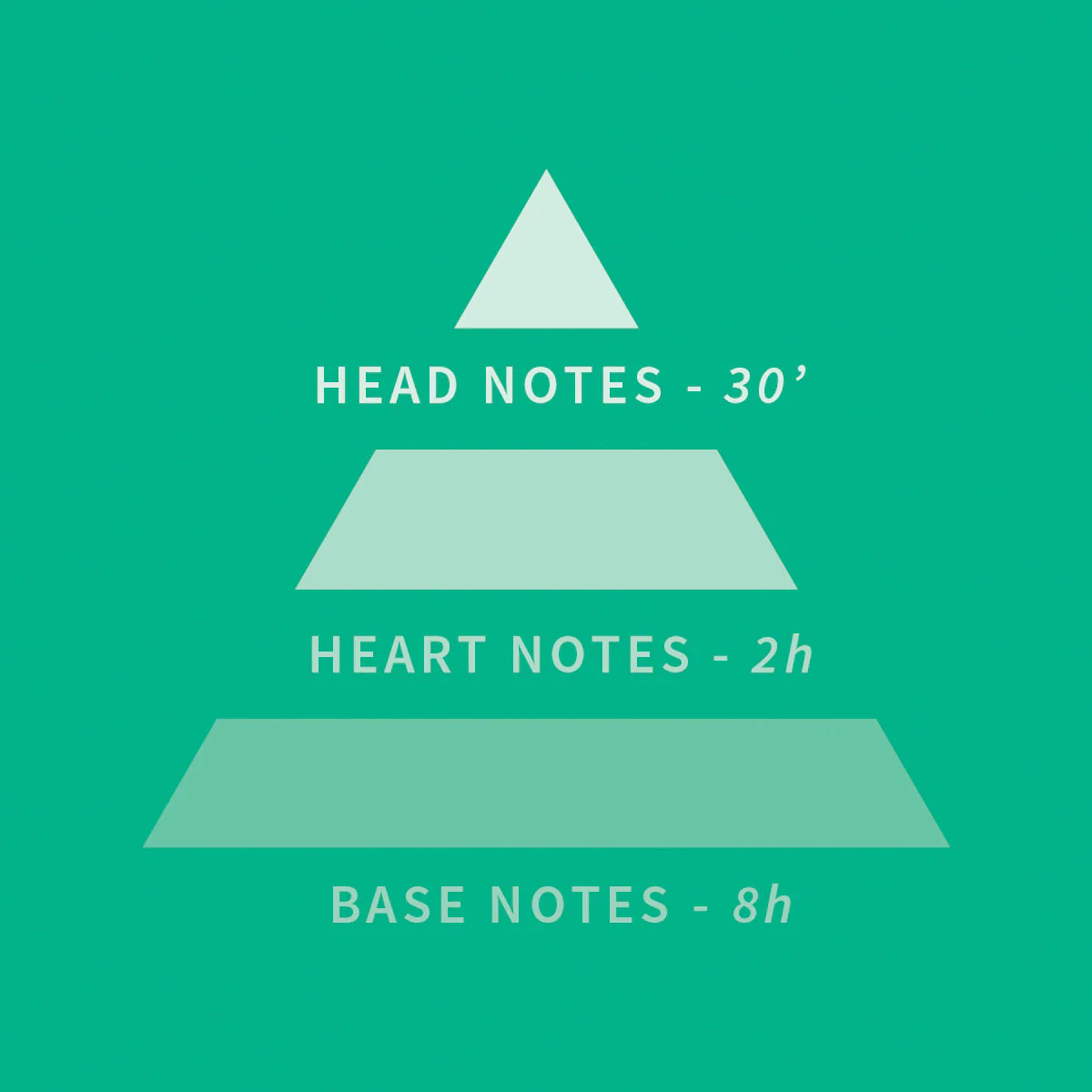 Immagine prodotto 13